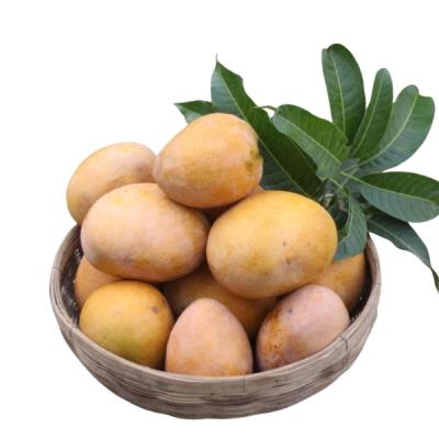 Bari-4 _ বারি - ৪