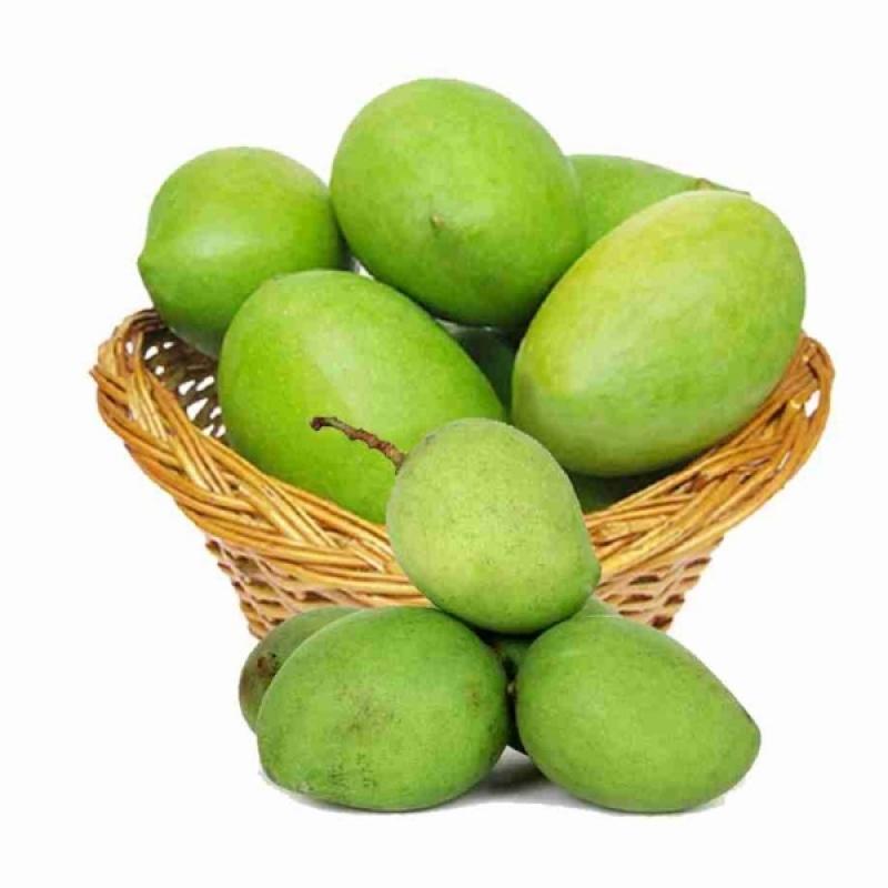 Himsagor _ হিমসাগর
