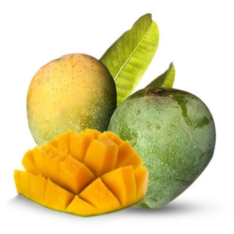 Himsagor _ হিমসাগর