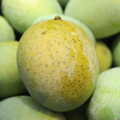 Lengra _ ল্যাংড়া