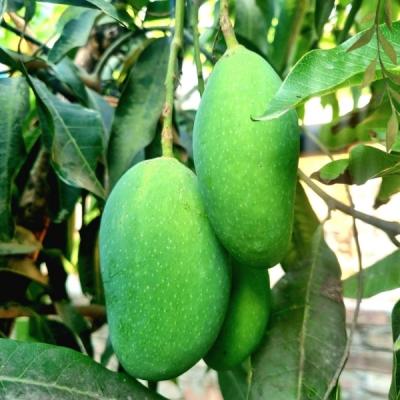 Nak Fozli_ নাক ফজলি